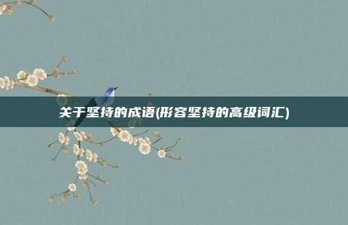 关于坚持的成语(形容坚持的高级词汇)