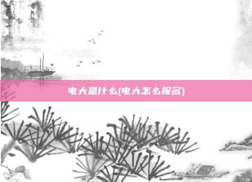 电大是什么(电大怎么报名)