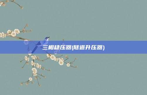 三相稳压器(隧道升压器)
