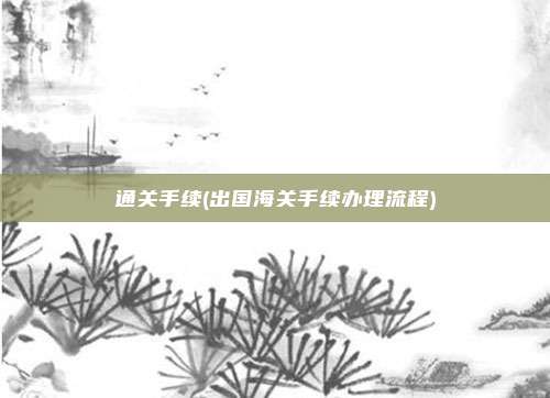 通关手续(出国海关手续办理流程)