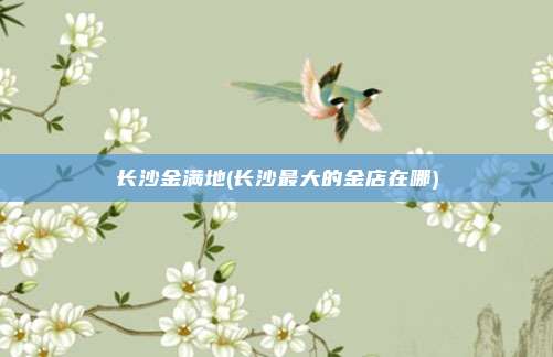 长沙金满地(长沙最大的金店在哪)