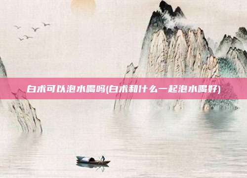 白术可以泡水喝吗(白术和什么一起泡水喝好)