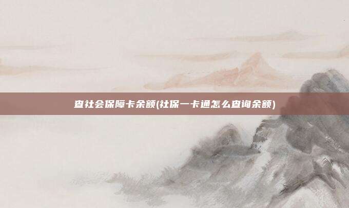 查社会保障卡余额(社保一卡通怎么查询余额)