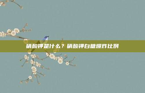 硝酸钾是什么?硝酸钾白糖爆炸比例