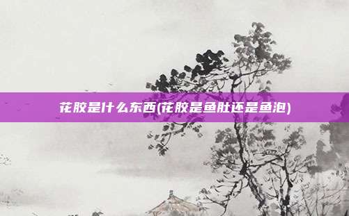 花胶是什么东西(花胶是鱼肚还是鱼泡)