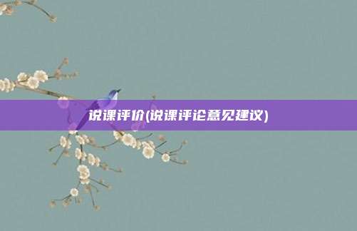 说课评价(说课评论意见建议)