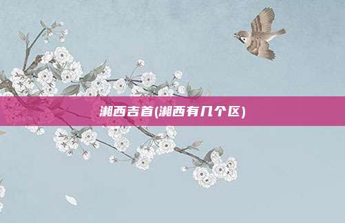 湘西吉首(湘西有几个区)