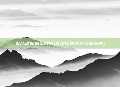 食品添加剂硫酸钙(食用硫酸钙对人体有害)