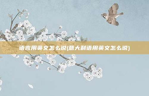 语言用英文怎么说(意大利语用英文怎么说)