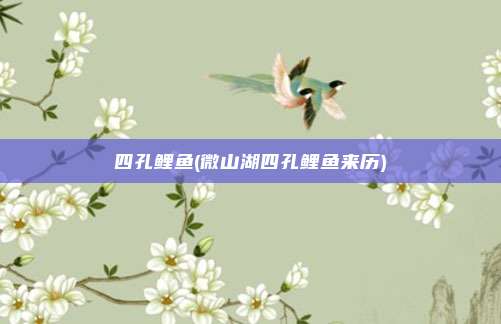 四孔鲤鱼(微山湖四孔鲤鱼来历)