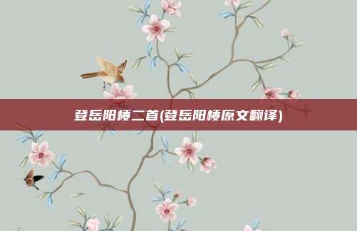 登岳阳楼二首(登岳阳楼原文翻译)