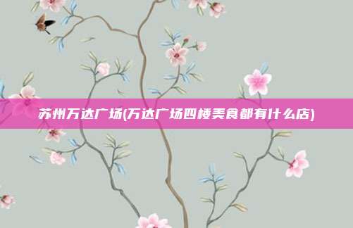 苏州万达广场(万达广场四楼美食都有什么店)