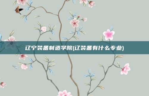辽宁装备制造学院(辽装备有什么专业)