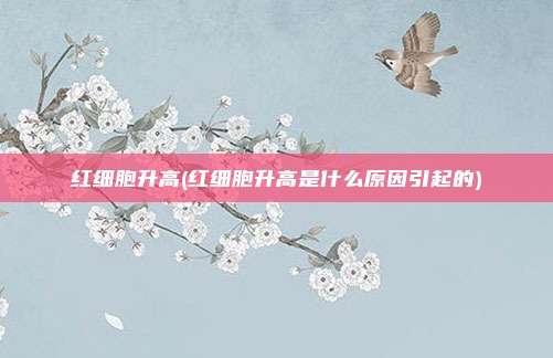 红细胞升高(红细胞升高是什么原因引起的)