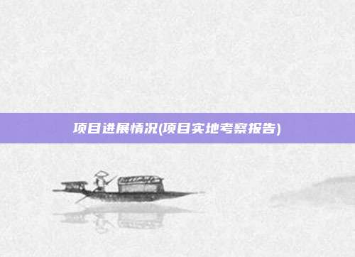 项目进展情况(项目实地考察报告)