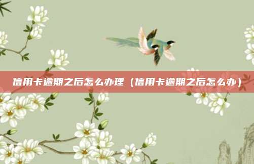 信用卡逾期之后怎么办理（信用卡逾期之后怎么办）