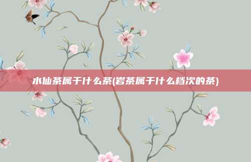 水仙茶属于什么茶(岩茶属于什么档次的茶)