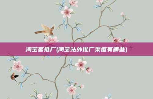 淘宝客推广(淘宝站外推广渠道有哪些)