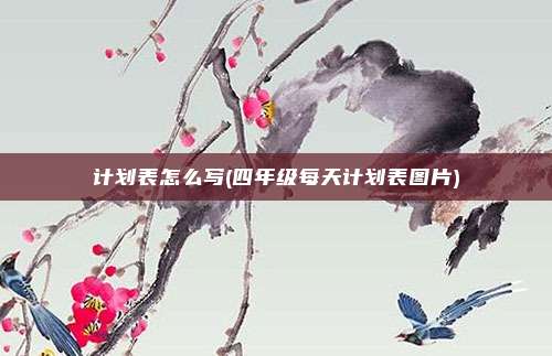 计划表怎么写(四年级每天计划表图片)