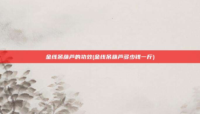 金线吊葫芦的功效(金线吊葫芦多少钱一斤)