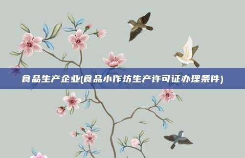 食品生产企业(食品小作坊生产许可证办理条件)