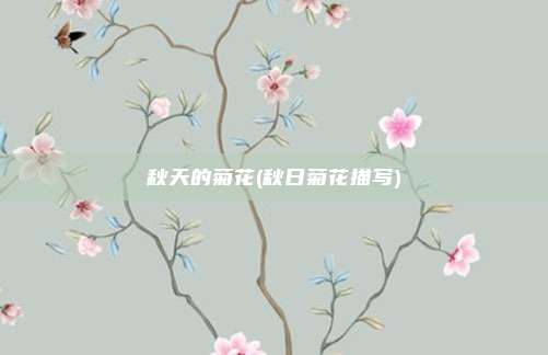 秋天的菊花(秋日菊花描写)