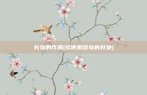 长句的作用(多使用短句的好处)