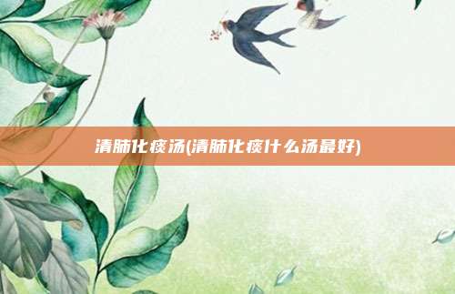 清肺化痰汤(清肺化痰什么汤最好)