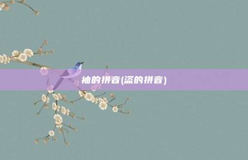 袖的拼音(盗的拼音)