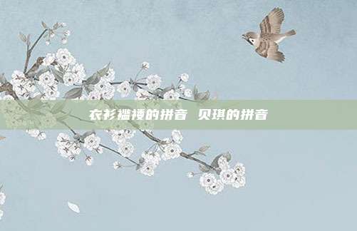衣衫褴褛的拼音 贝琪的拼音