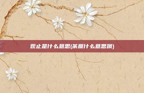 观止是什么意思(荼蘼什么意思哦)