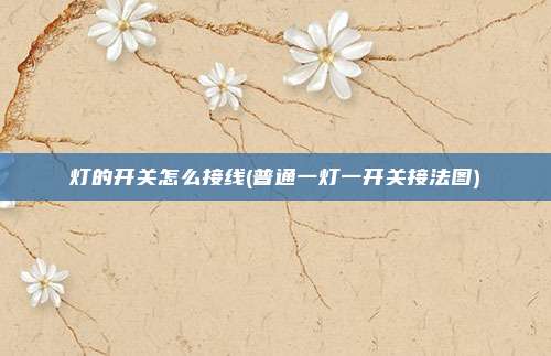 灯的开关怎么接线(普通一灯一开关接法图)