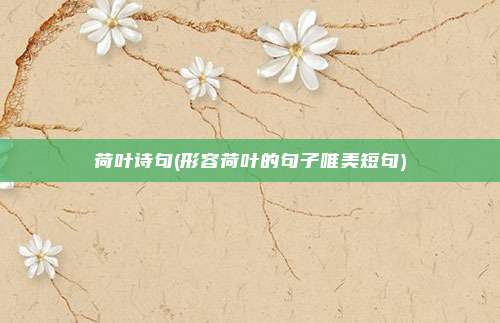 荷叶诗句(形容荷叶的句子唯美短句)