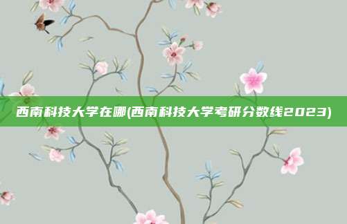 西南科技大学在哪(西南科技大学考研分数线2023)