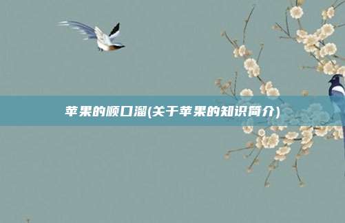 苹果的顺口溜(关于苹果的知识简介)