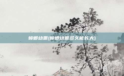 蟑螂幼崽(蟑螂幼崽多久能长大)