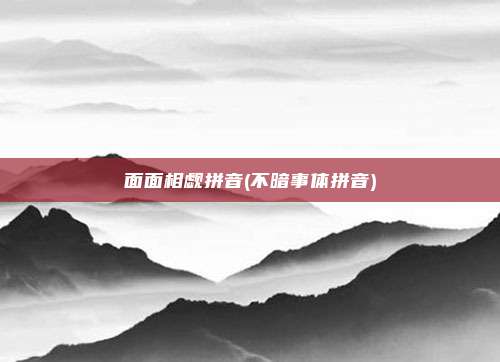 面面相觑拼音(不暗事体拼音)