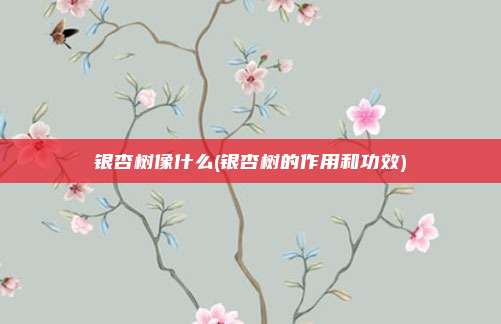 银杏树像什么(银杏树的作用和功效)