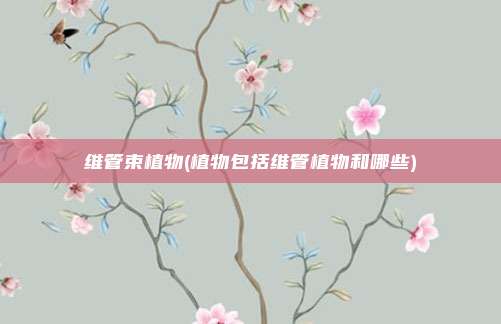 维管束植物(植物包括维管植物和哪些)