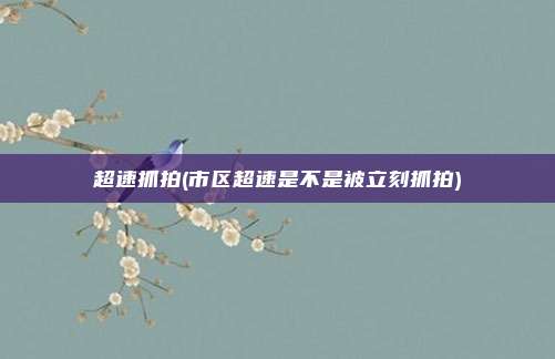 超速抓拍(市区超速是不是被立刻抓拍)