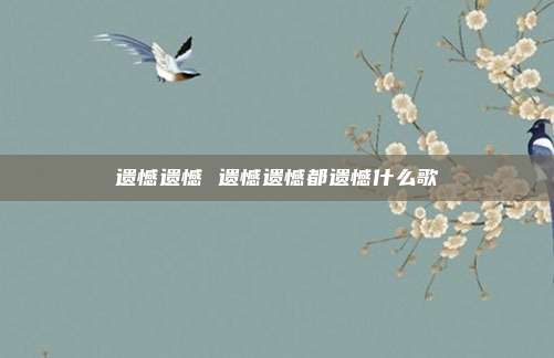 遗憾遗憾 遗憾遗憾都遗憾什么歌