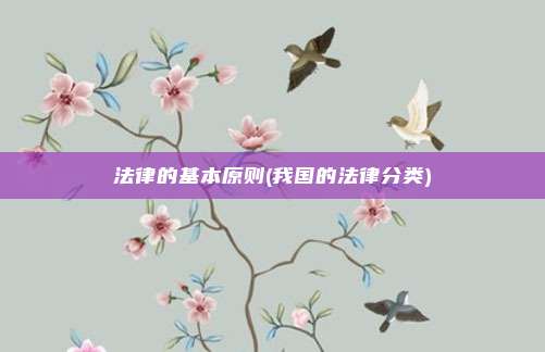 法律的基本原则(我国的法律分类)