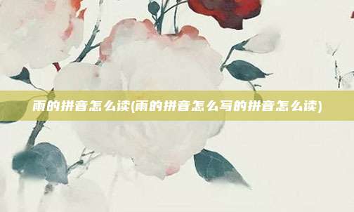 雨的拼音怎么读(雨的拼音怎么写的拼音怎么读)