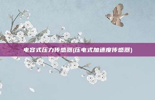 电容式压力传感器(压电式加速度传感器)