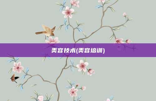 美容技术(美容培训)
