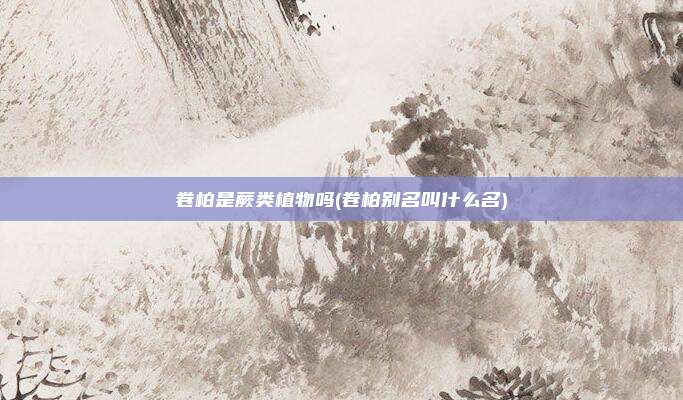 卷柏是蕨类植物吗(卷柏别名叫什么名)