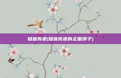 知难而退(知难而退的正面例子)