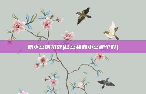 赤小豆的功效(红豆和赤小豆哪个好)
