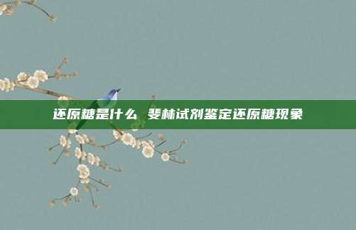 还原糖是什么 斐林试剂鉴定还原糖现象