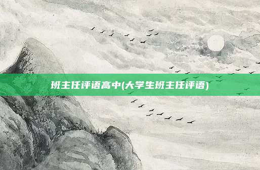 班主任评语高中(大学生班主任评语)